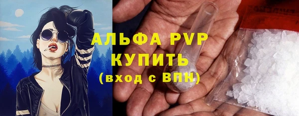 ГАЛЛЮЦИНОГЕННЫЕ ГРИБЫ Вязьма