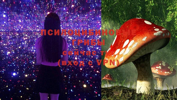 сатива Вязники