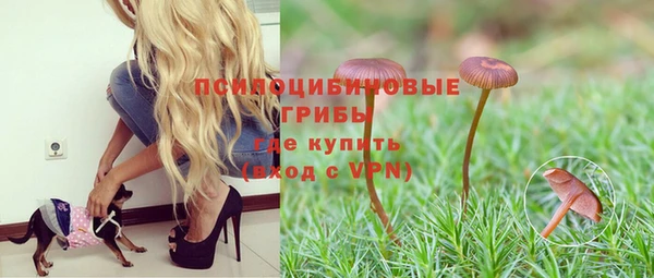 сатива Вязники