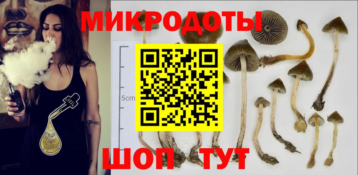 Бугуруслан  Галлюциногенные грибы Magic Shrooms  купить наркоту  Вход с VPN 