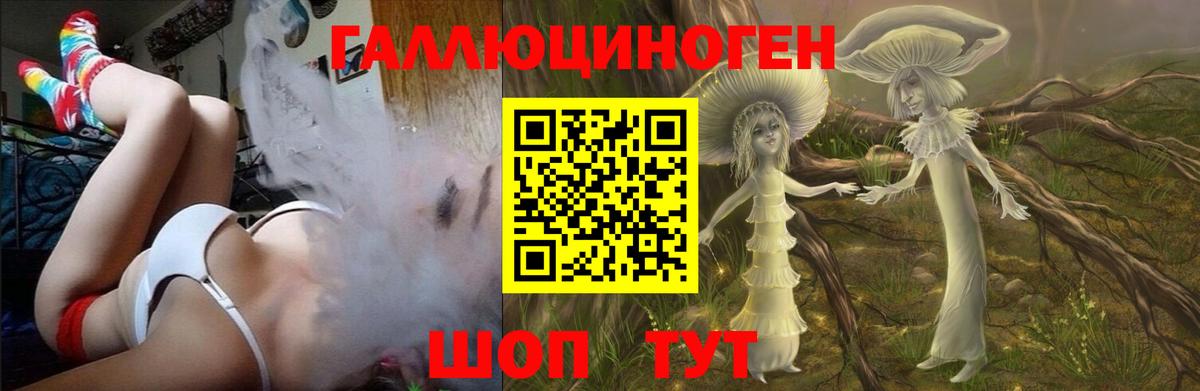 Псилоцибиновые грибы Cubensis Бугуруслан